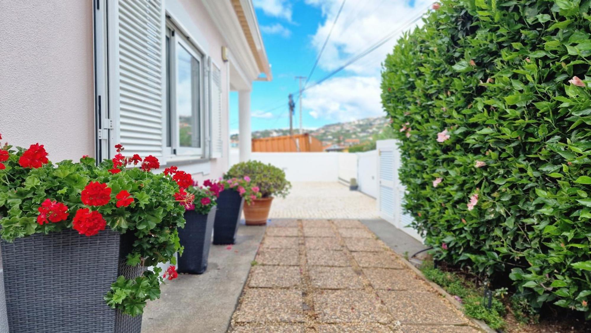 Villa Valentina By Lovelystay Ponta do Sol  Exteriér fotografie